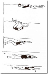 tumble_turn_crawl